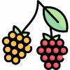 Ремонтантные сорта малины (9)